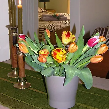 Irini Hotel apartamentowy *